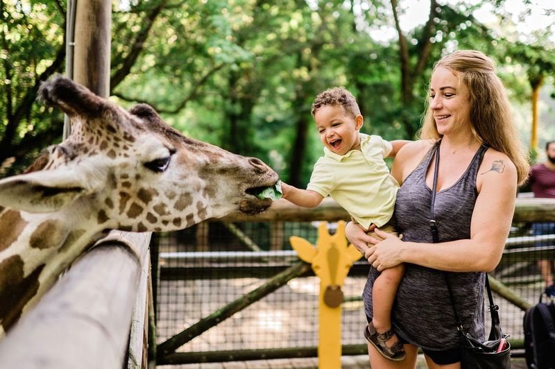 MemphisZoo's tweet photo. 🎉RANKED #2 IN THE NATION! 🎉

We are PAWSITVELY excited to announce that Memphis Zoo has been honored as a winner in the 2024 Newsweek Readers' Choice Awards for Best Zoo! We extend our heartfelt thanks to our Zoo friends for helping us achieve second place. Your support and love for the Memphis Zoo make it extraordinary. This recognition is a testament to our efforts and dedication to our mission to Create Adventures and Save Wildlife. Thank you for being part of our journey!

https://t.co/d3uAJJHRRI

#memphiszoo @Newsweek