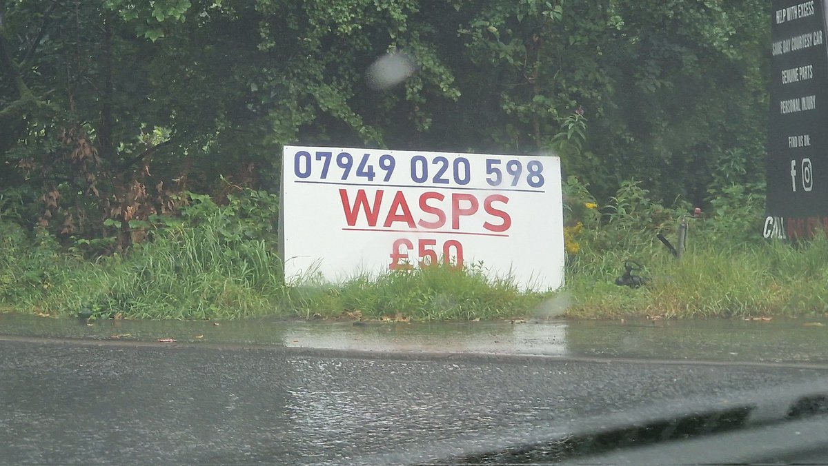 absolute bargain if any of yous have a use for 7,949,020,598 wasps
