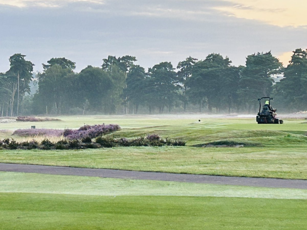 Dan Rowley tweet media