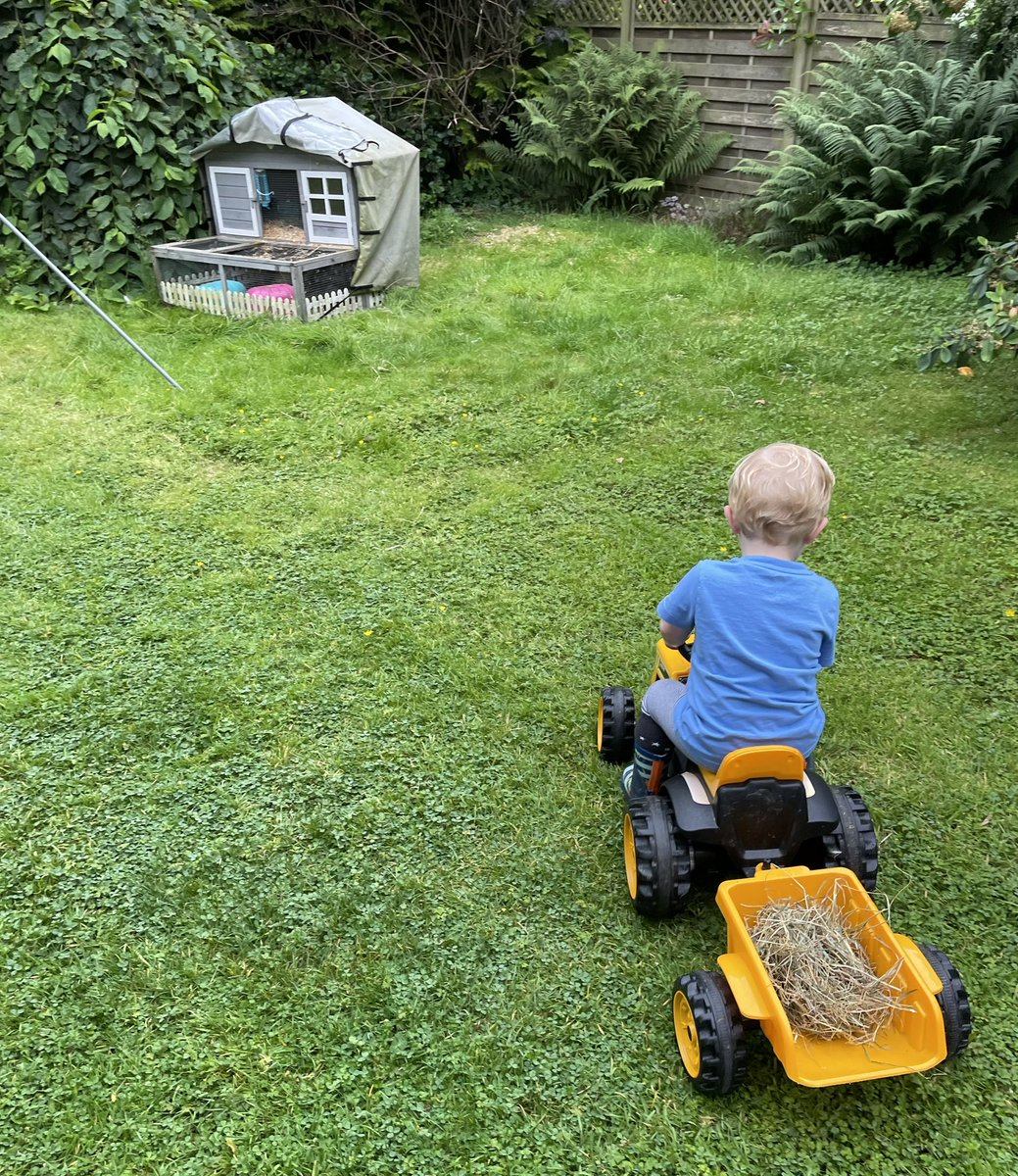 Feeding the stock #Farm24 <a href="/FarmersGuardian/">Farmers Guardian</a> <a href="/Morrisons/">Morrisons</a> <a href="/JCBmachines/">JCB</a>
