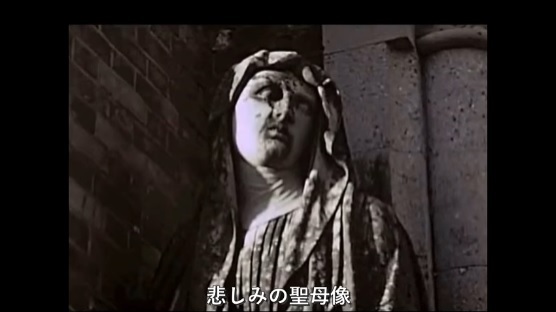 浪花慕情 tweet media