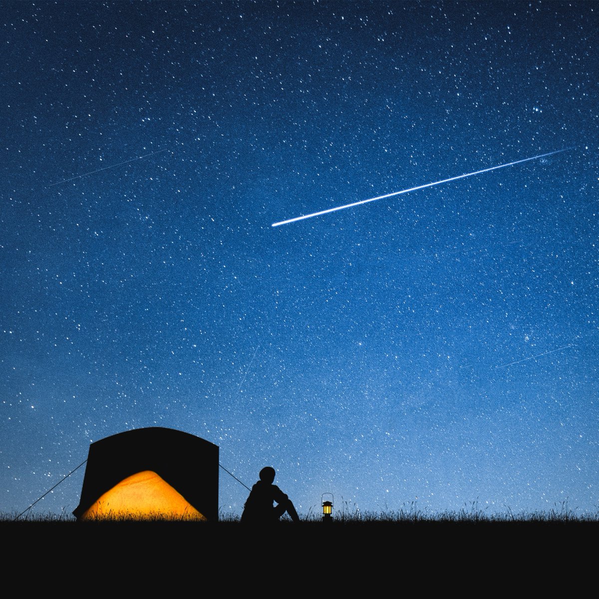 It's Global #SleepUnderTheStarsNight! 💫  Head to a local campsite or even camp in your backyard to create a fun memory.  Check out our list of the best books on the great outdoors.  #CampingWithKids #SummerActivities bit.ly/4cd2Eue