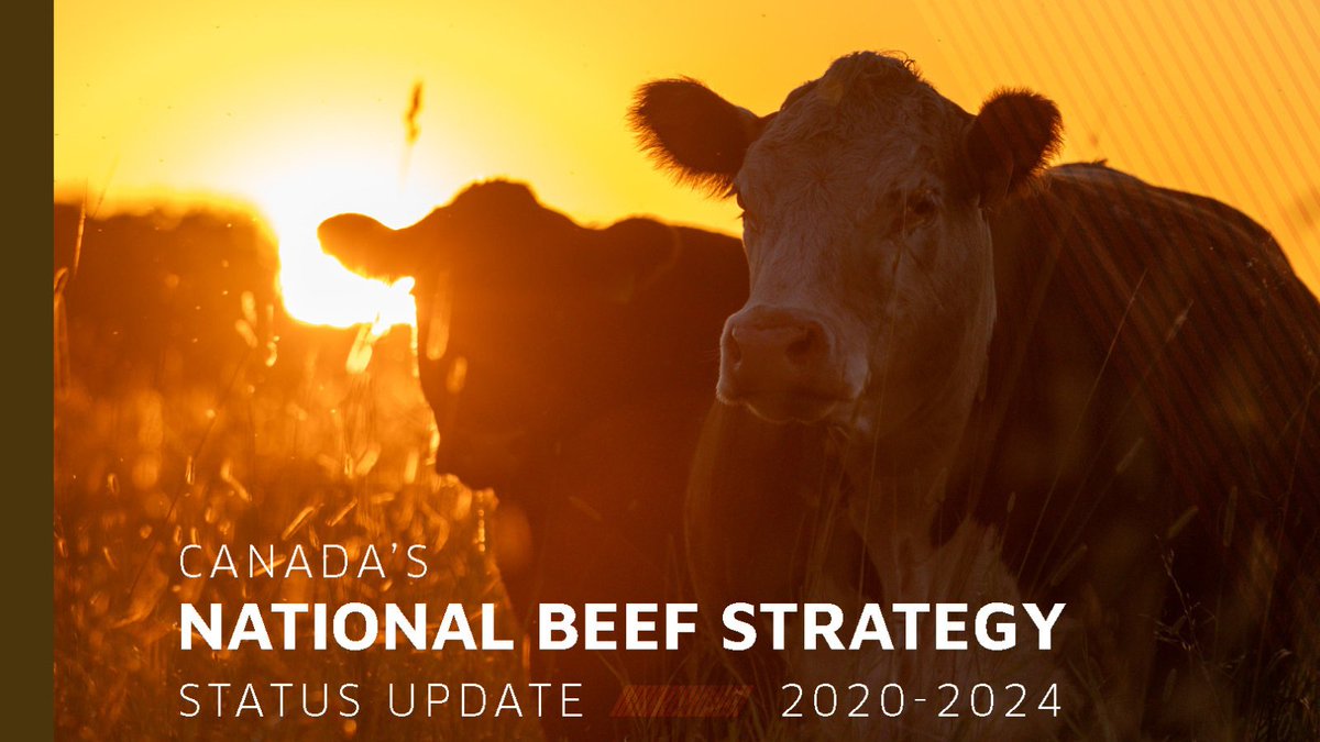 The Canadian Beef Advisors released a Status Update today highlighting collaborative industry accomplishments over the past two years. 

News Release: bit.ly/46CFEUi
Full Report: bit.ly/4dl2jY8