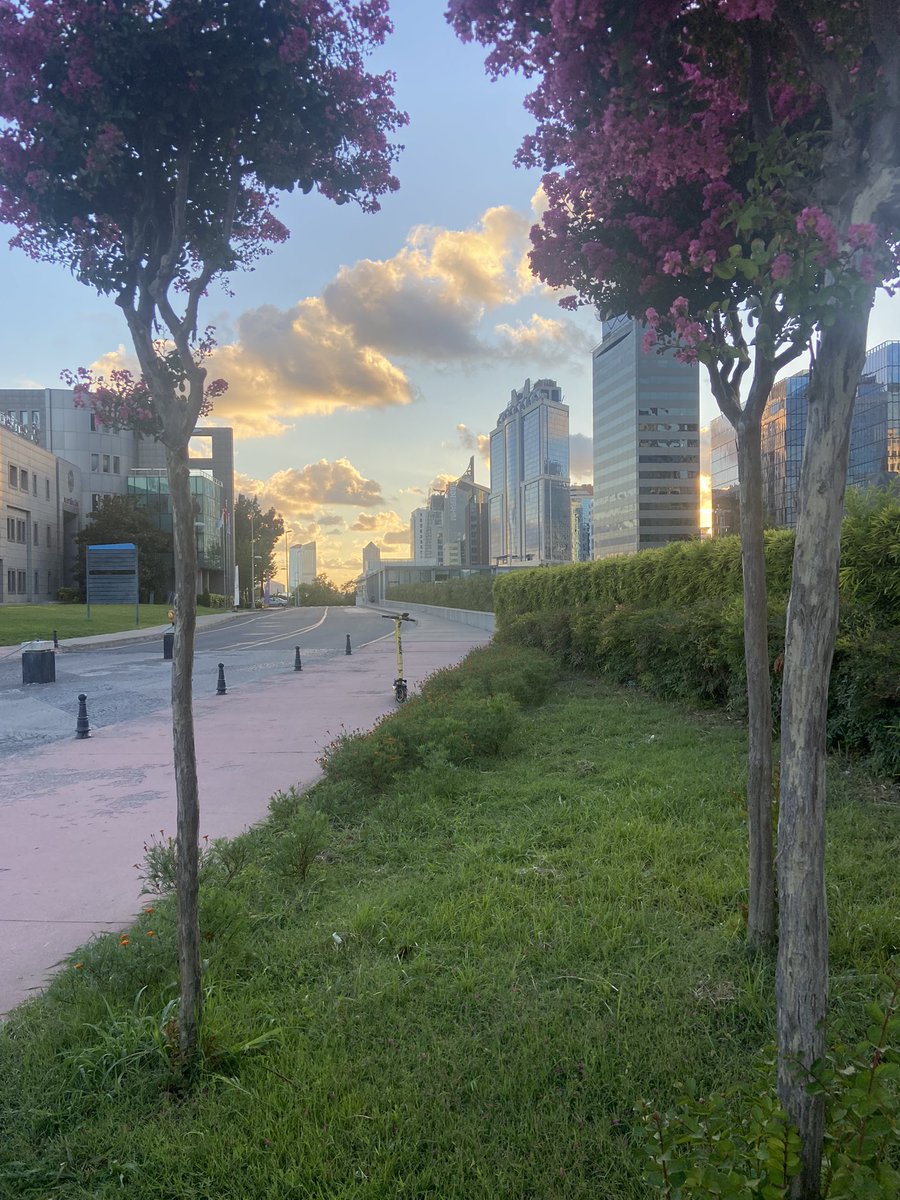 Eren (@thekoc8) on Twitter photo 