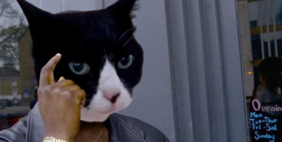 Oni-Chan | お兄ちゃん tweet media