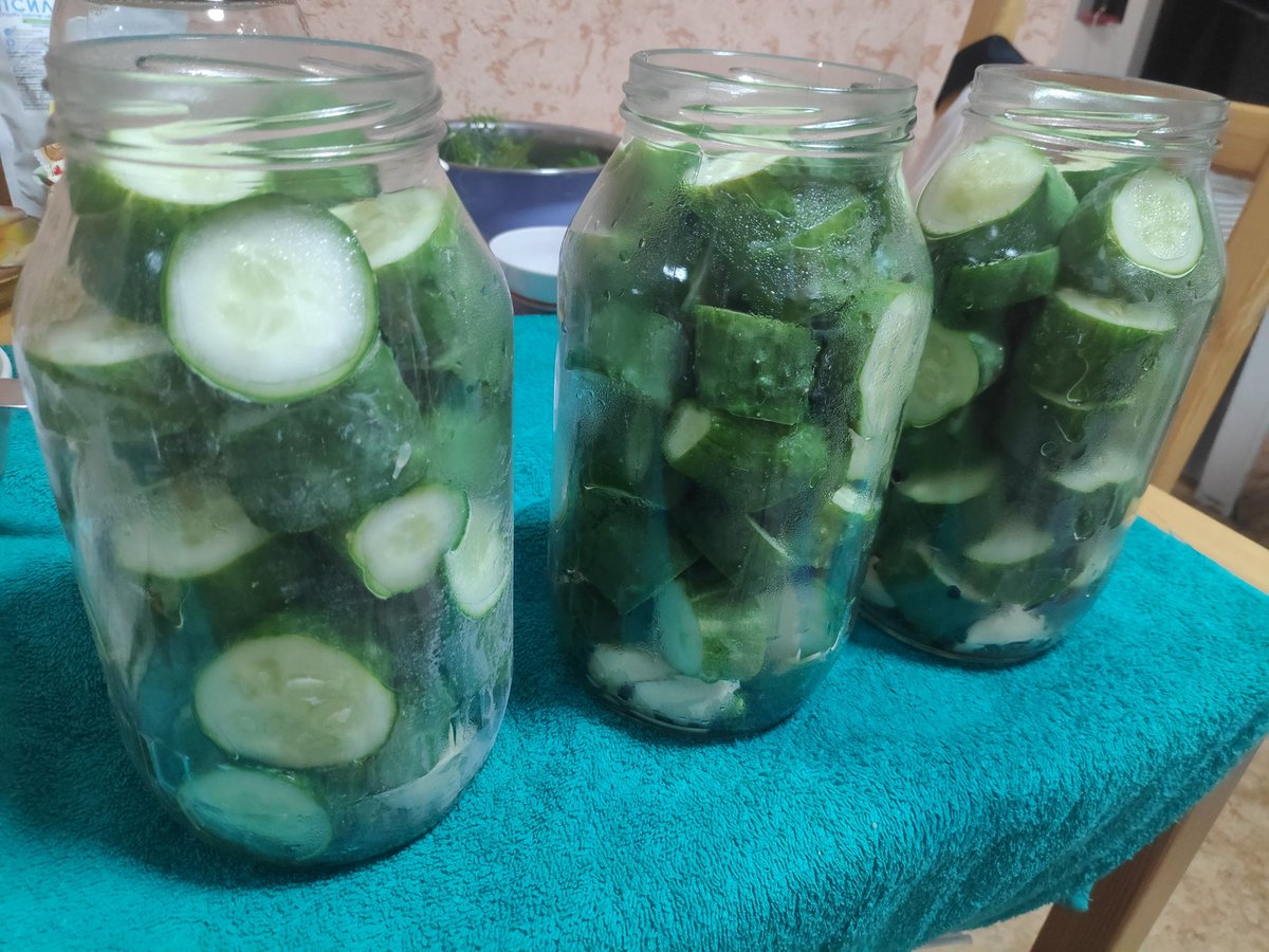 Спасаю кукуху засолкой огурцов