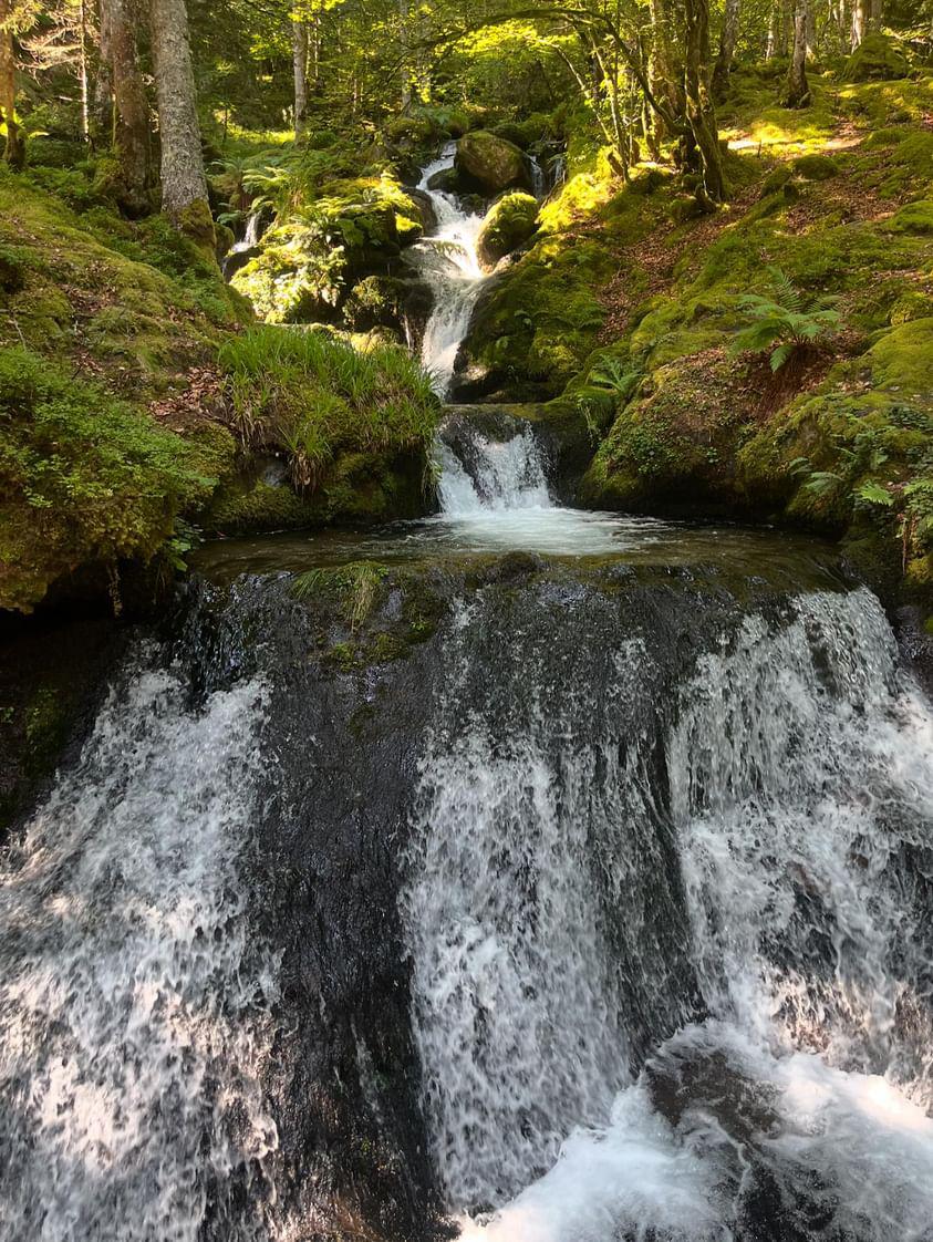 NERI 🪐  tweet media