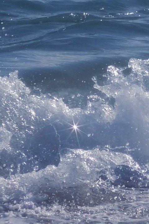 𝚌𝚘𝚝𝚎 tweet media