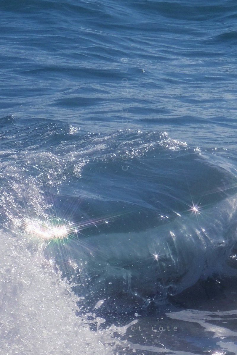 𝚌𝚘𝚝𝚎 tweet media