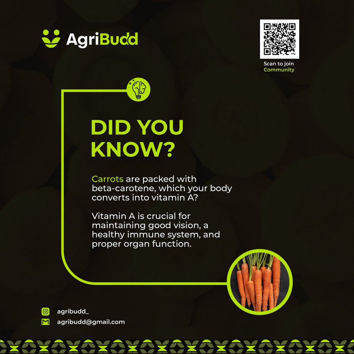 AgriBudd's tweet photo. Did you know that carrots can ultimately help you maintain good vision?

#agribuddiscoming
#funfacts
#agribuddfacts
#agribudd
#agribuddtotheworld
#buddingood
#innovative https://t.co/d58fn3SfhS