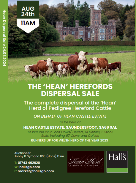 Sadly this will be our last #Farm24. The Sale Catalogue for the Herd Dispersal Sale of the Hean Herefords on the 24th August is now available to download from
<a href="/hallsholdings/">Halls</a> website at hallsgb.com/event/the-hean…
