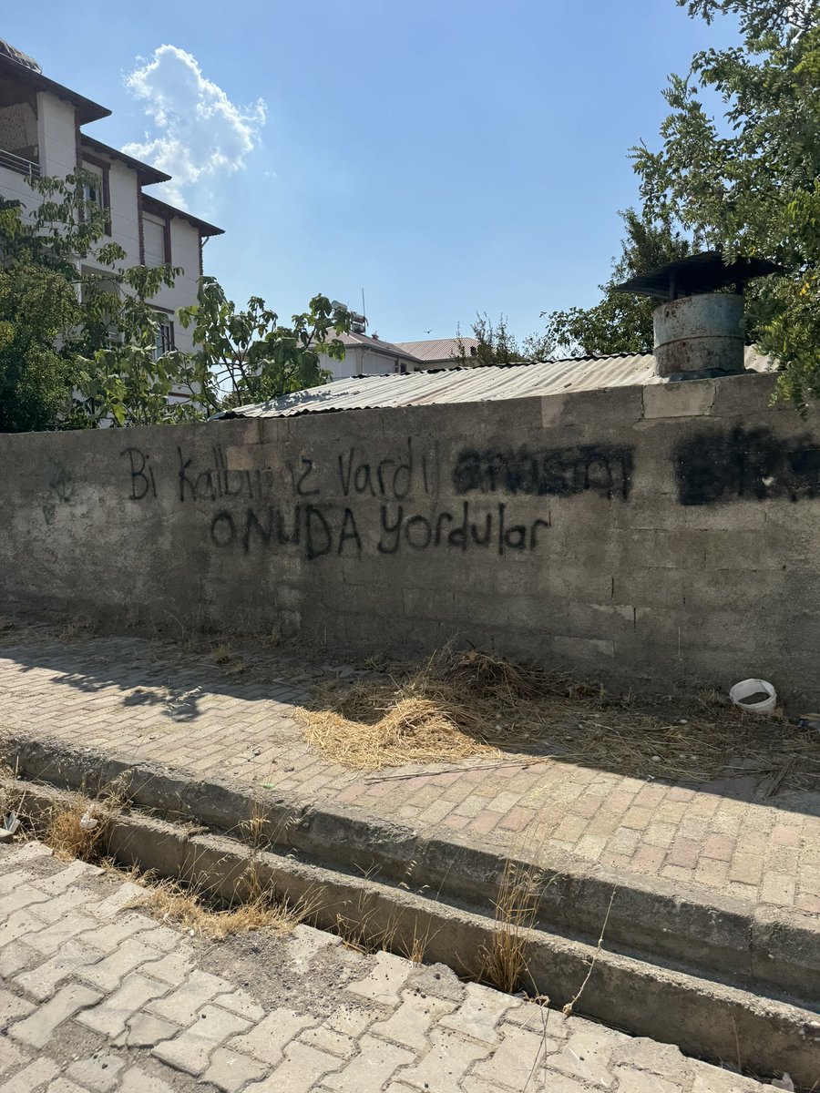 cigkoeftex's tweet photo. some köy vibes ✨ https://t.co/3s8dcsntY4