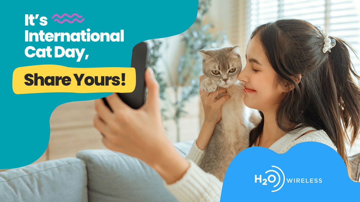 H2OWireless's tweet image. Happy International Cat Day! 🐈 Share the love for your whiskered companion by posting a photo below. Let's make this day a pawsome celebration of all things feline! #H2OWireless #InternationalCatDay