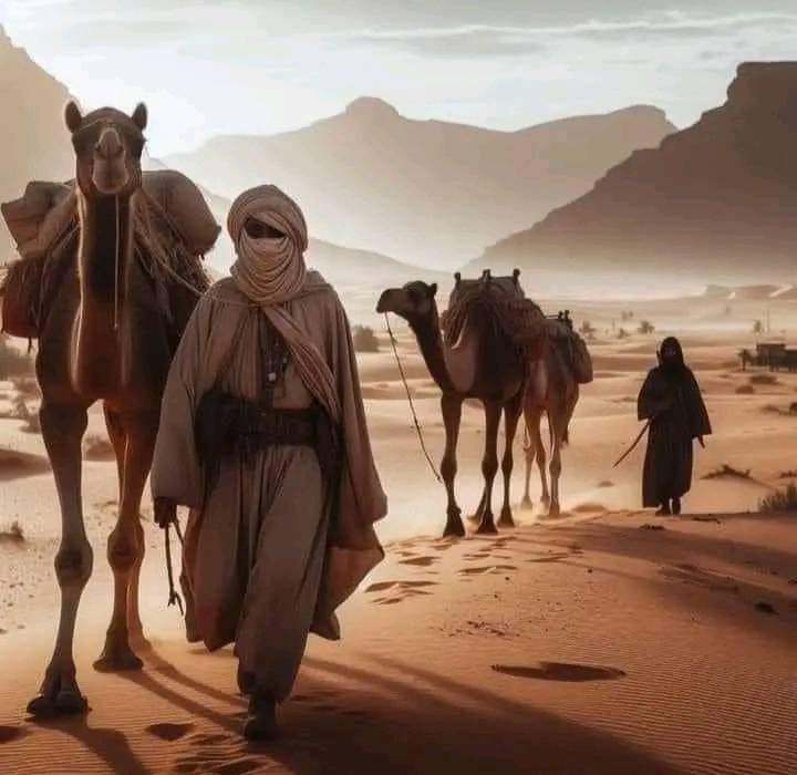حائل tweet media