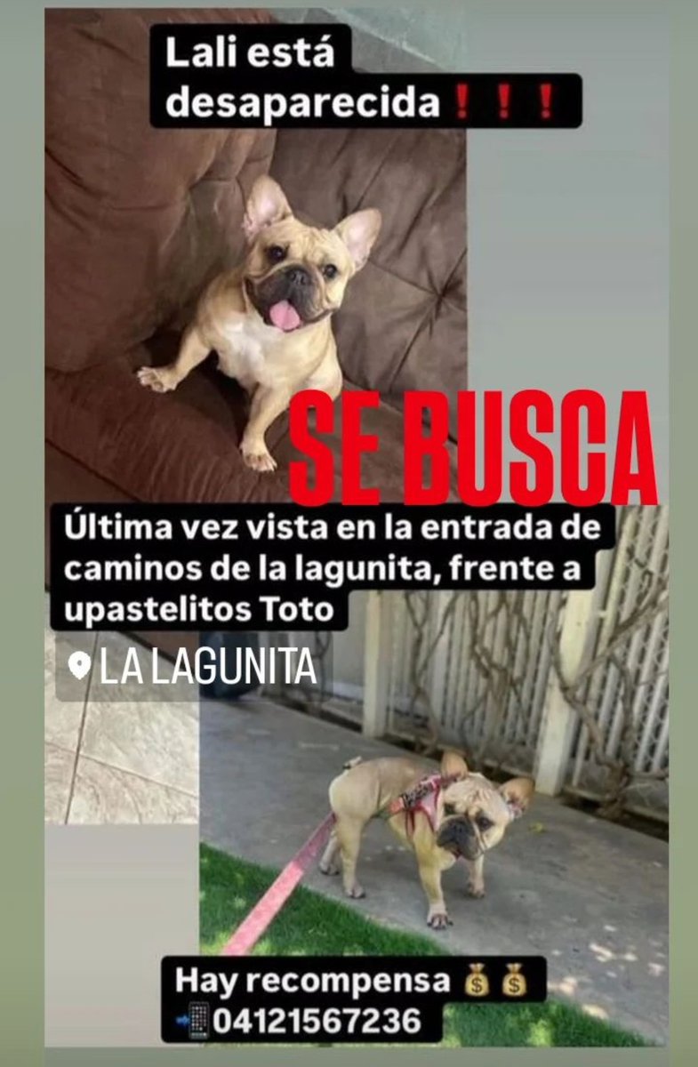 PerroUsuario's tweet photo. Se busca Gran Caracas https://t.co/kaL4u0fTmu