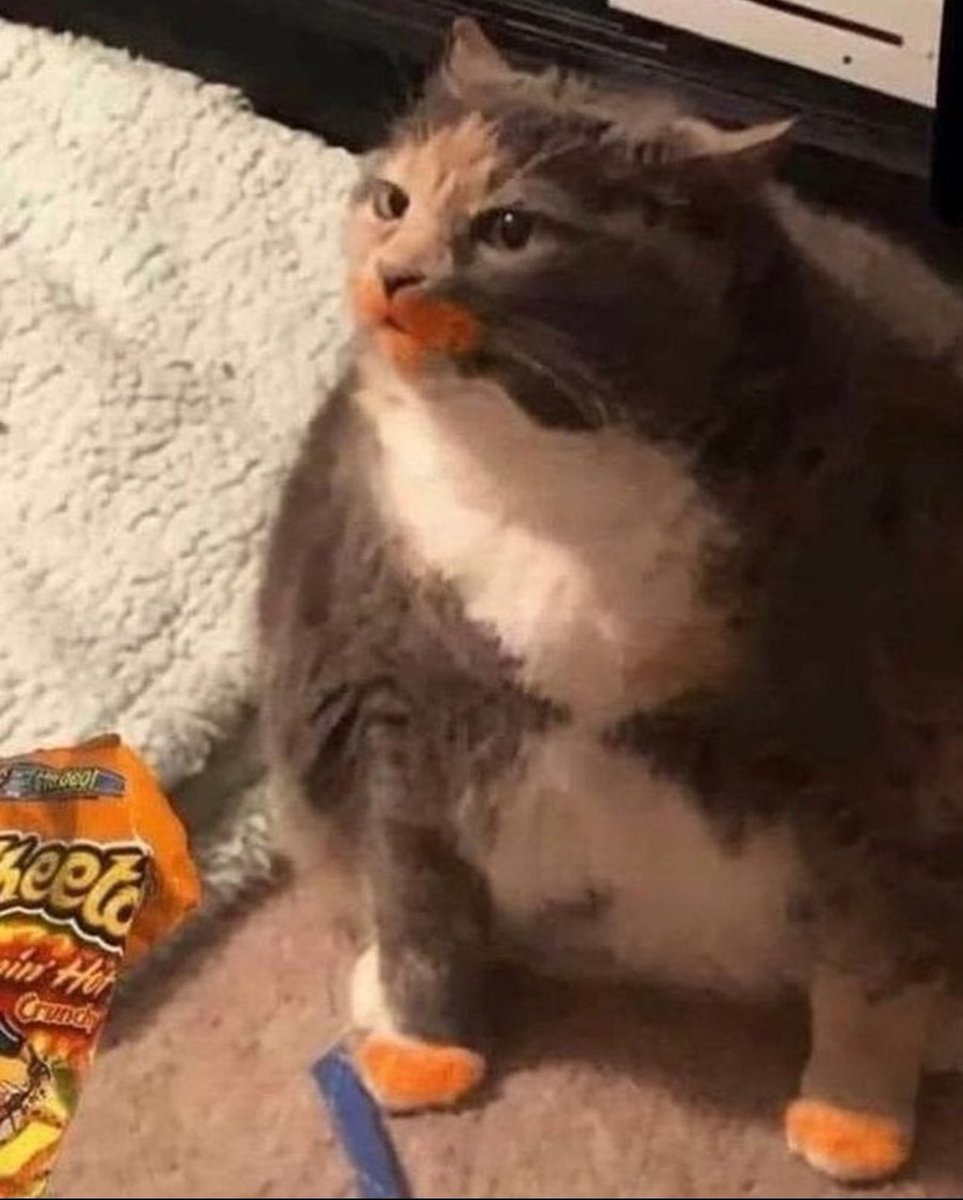 Not_Shonen's tweet photo. @krracee Same energy https://t.co/OCcbqDvtnm