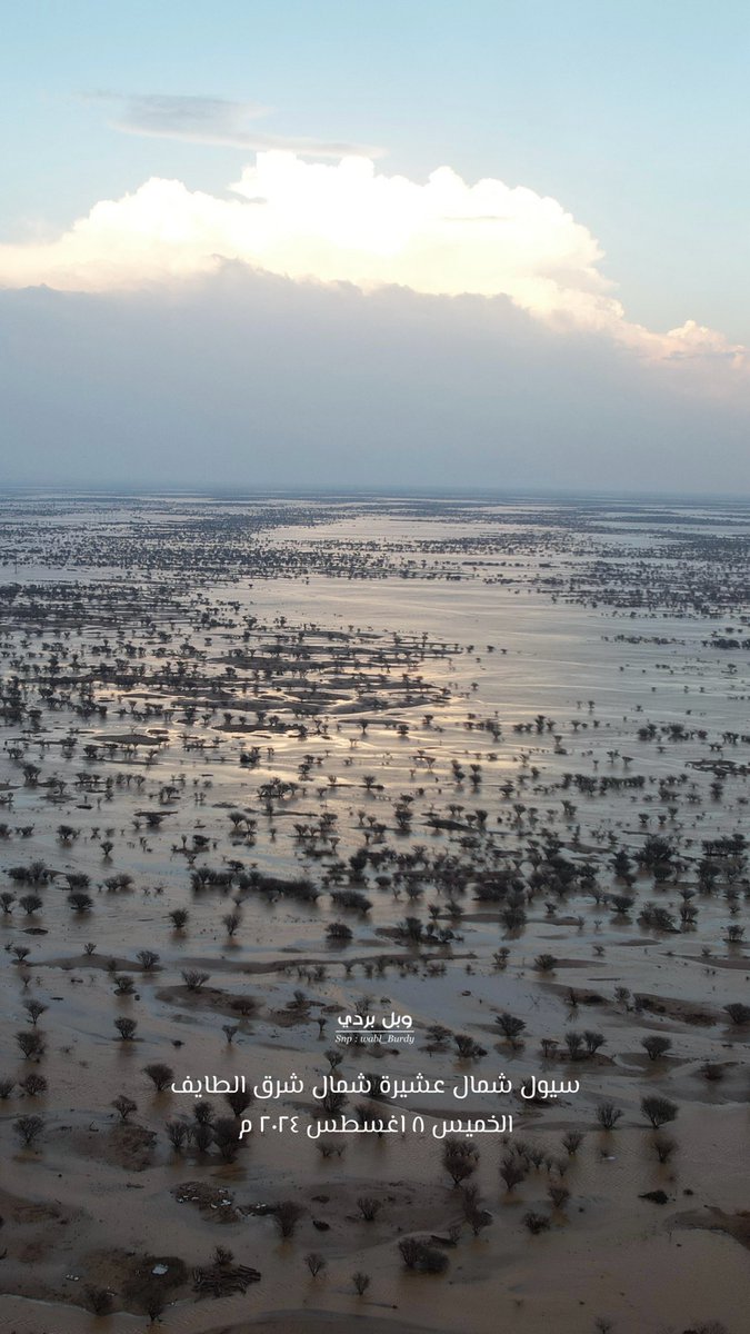 لقطات جوية ✈️
سيول شمال عشيرة شمال شرق الطايف 
الخميس ٨ اغسطس ٢٠٢٤ م | وبل بردي