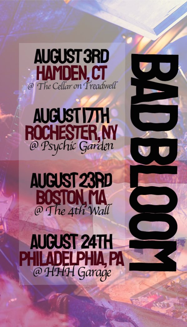 Do we have any X followers that are coming to any of these shows? 
Do we have any X followers? 
Respond either way.