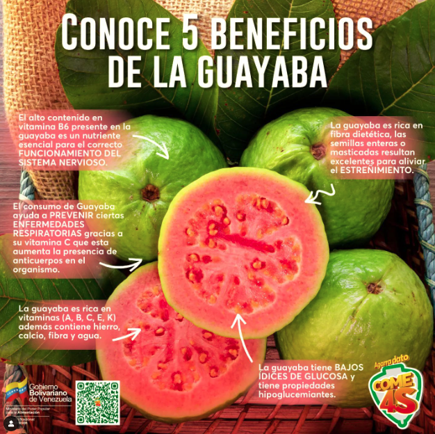 #AgarraDato | Te sorprenderás al saber todos los beneficios que esta pequeña fruta te brinda; la guayaba es buenísima para la digestión, enfermedades respiratorias y más.  

Conoce 5 beneficios de consumirla 👉👉👉