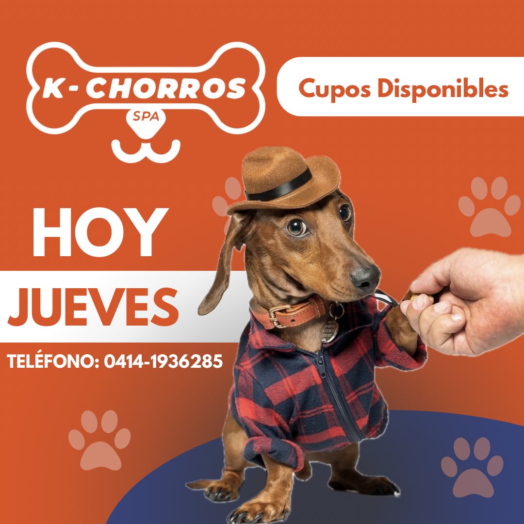 kchorrospa's tweet photo. 🧡☀️🐶🛁

#Cctrigalsur
#Valencia #prebo #kromiexpress #Guataparo #guataparoexpress #centrocomercialguataparoexpress https://t.co/Ejj9P5qLL9