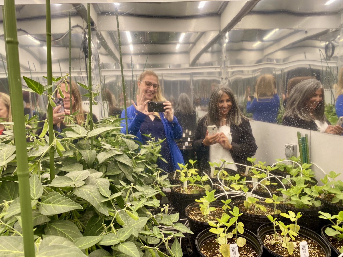 Jenn Donais tweet media