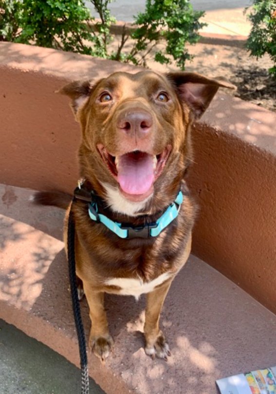 Julie🌻🐾 tweet media