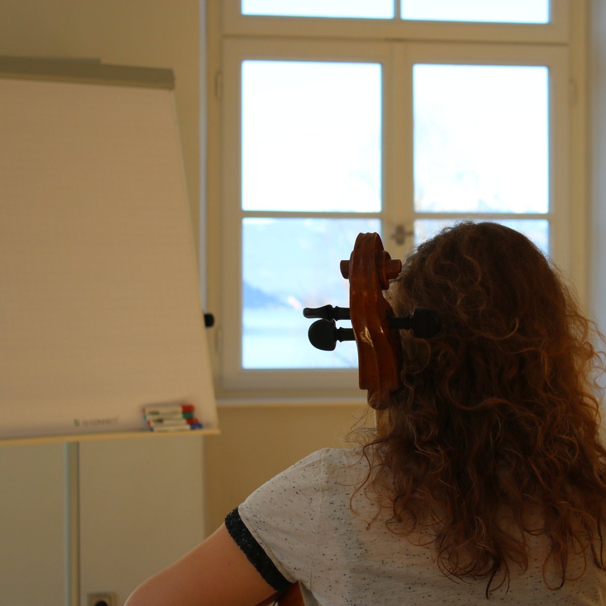 🎶 Dreaming of starting your own ensemble, festival, or teaching studio?🌟 
<a href="/Theresiatwitt/">Theresia Orchestra</a> empowers its young professional musicians with essential entrepreneurial skills through courses led by @iconsinnovation

Learn more: theresia.blog/2024/07/empowe…

Happy #InternationalYouthDay24