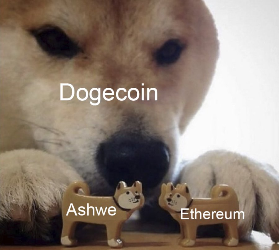 CoinAshcoin's tweet photo. I will send $1000 to a random person who tags friends in the comments and subscribes to me https://t.co/n1RQDwPrNg