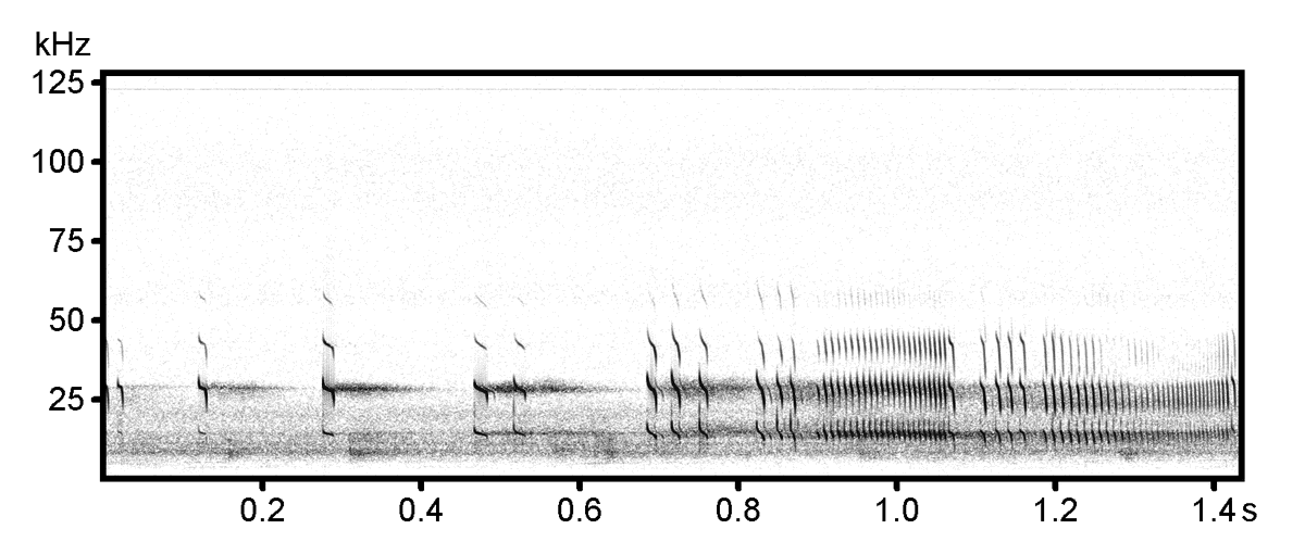 Ann "Sparrow" To tweet media