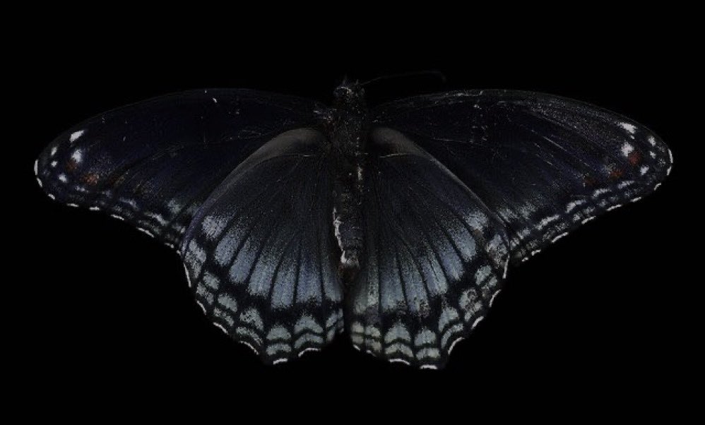 razan (@rozllvx) on Twitter photo 