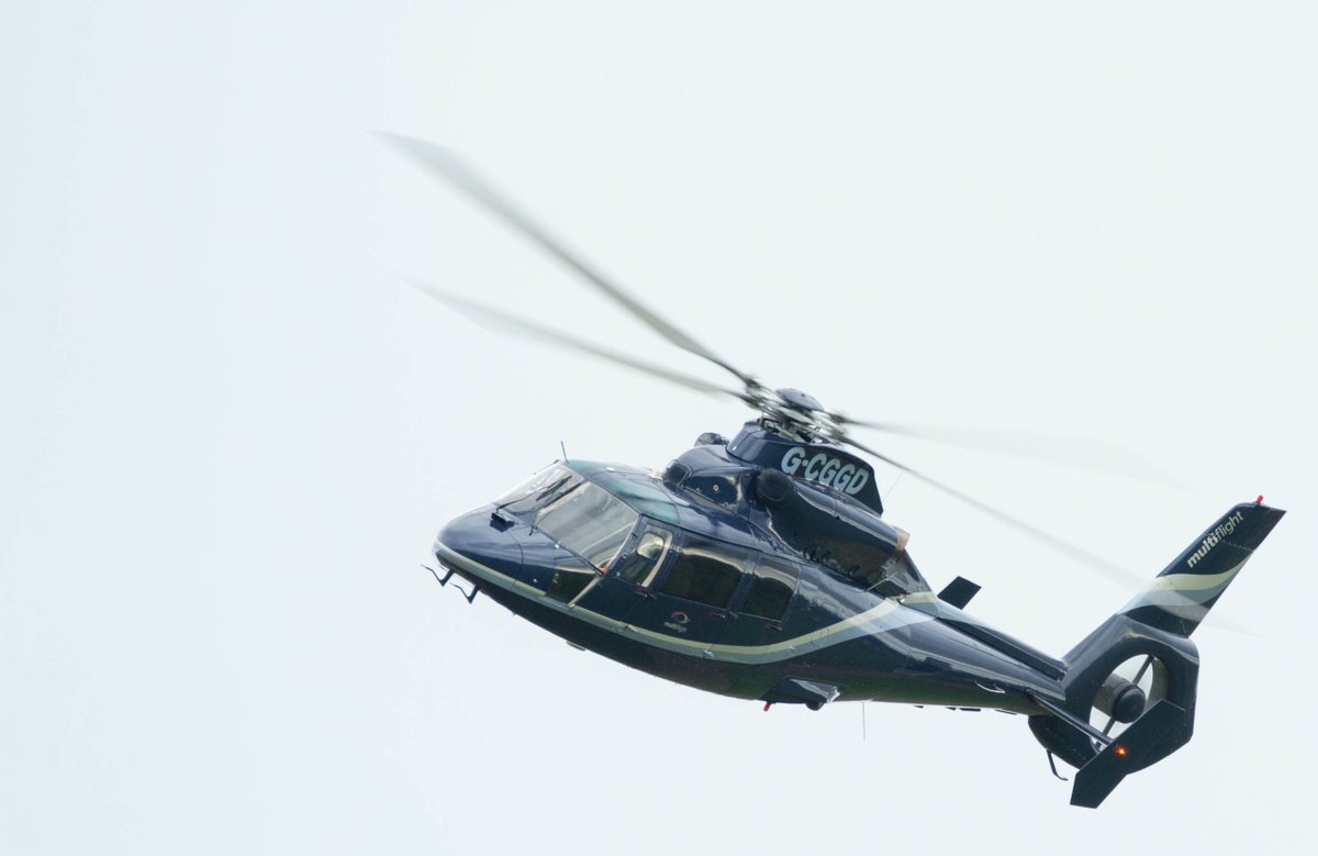 Declan morland tweet media