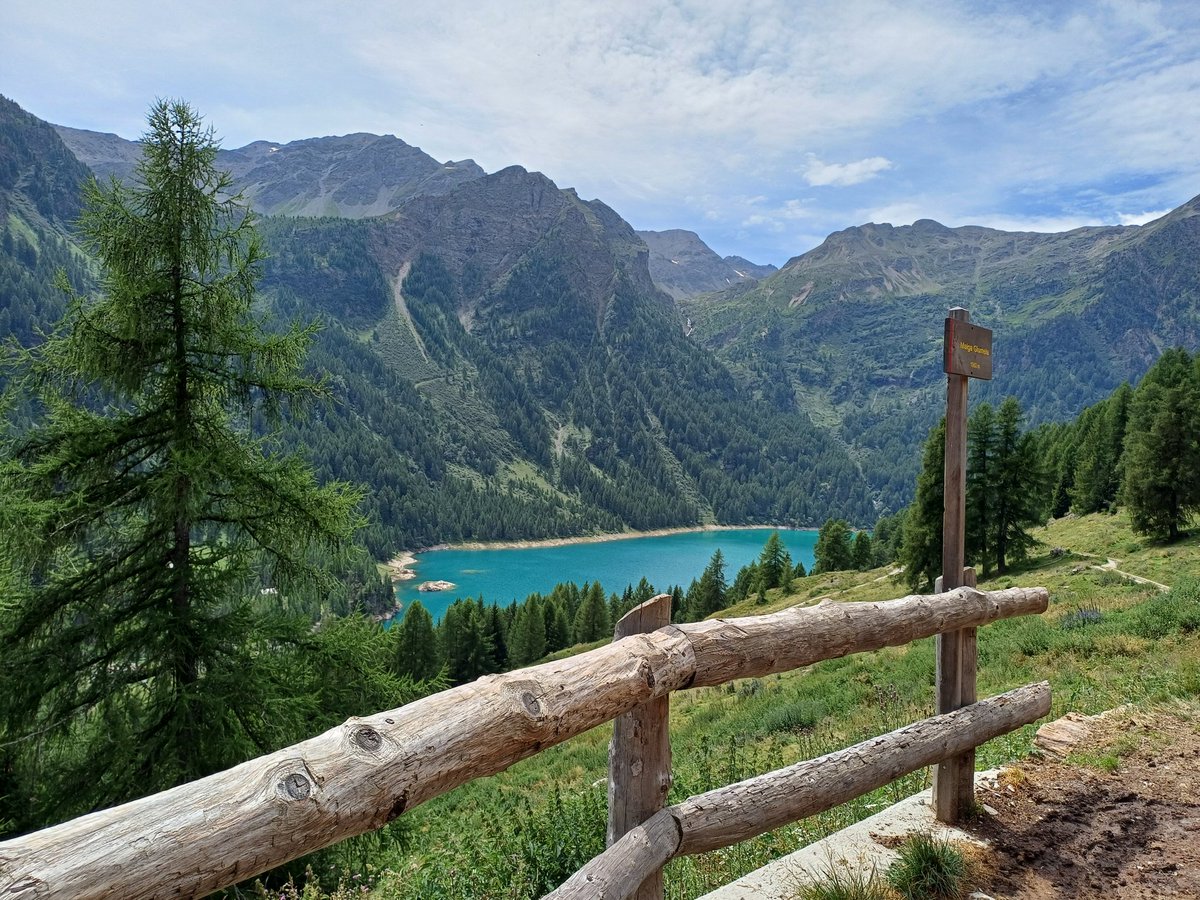 Fiorons1's tweet photo. Lago pian Palù
🚴♂️
#peio
#vacanze https://t.co/XuPTngH6P3