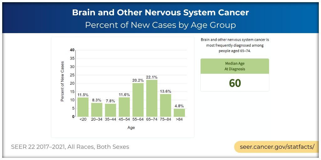 NCICancerStats's tweet image. #BrainCancer is most frequently diagnosed among people between ages 65 and 74 years. The median age at diagnosis is 60. Visit our Cancer Stat Facts sheet to learn more: buff.ly/2IlAAe3 #BrainTumorThursday