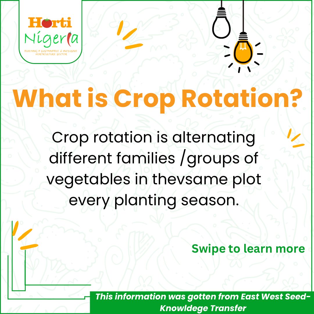 HortiNigeria's tweet image. New Series Alert! 

We’re launching our Vegetable Farming Tips series to help you grow healthier, more productive crops! 

Today’s topic: the benefits of crop rotation. 

Ready to learn more?

Content credit @eastwestseedKT

 #IFDC #EWSKT #WUR #KIT #VegetableFarming