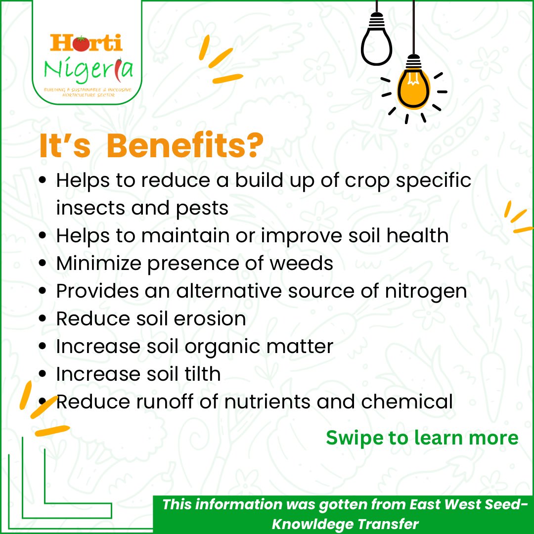HortiNigeria's tweet image. New Series Alert! 

We’re launching our Vegetable Farming Tips series to help you grow healthier, more productive crops! 

Today’s topic: the benefits of crop rotation. 

Ready to learn more?

Content credit @eastwestseedKT

 #IFDC #EWSKT #WUR #KIT #VegetableFarming