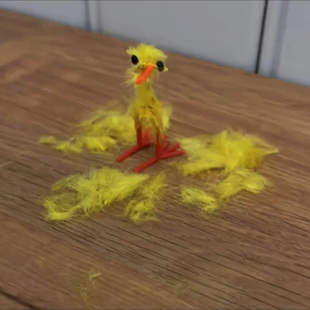 En_jupiter_'s tweet photo. yo después de dar mi corazón de pollito y me lo
hicieran caldo: https://t.co/zTNtEzioxk