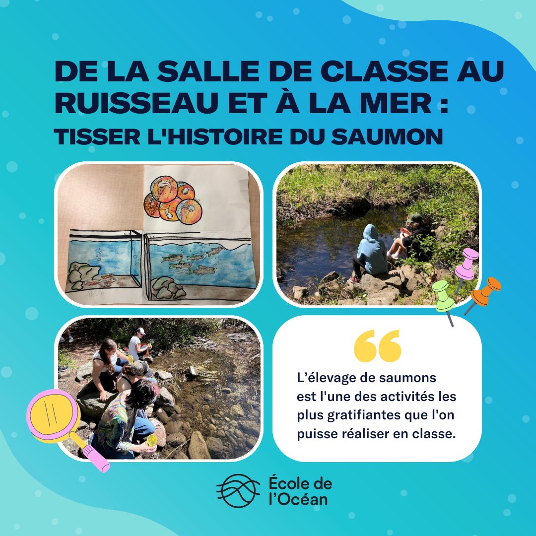 École de l’Océan 🐋 tweet media