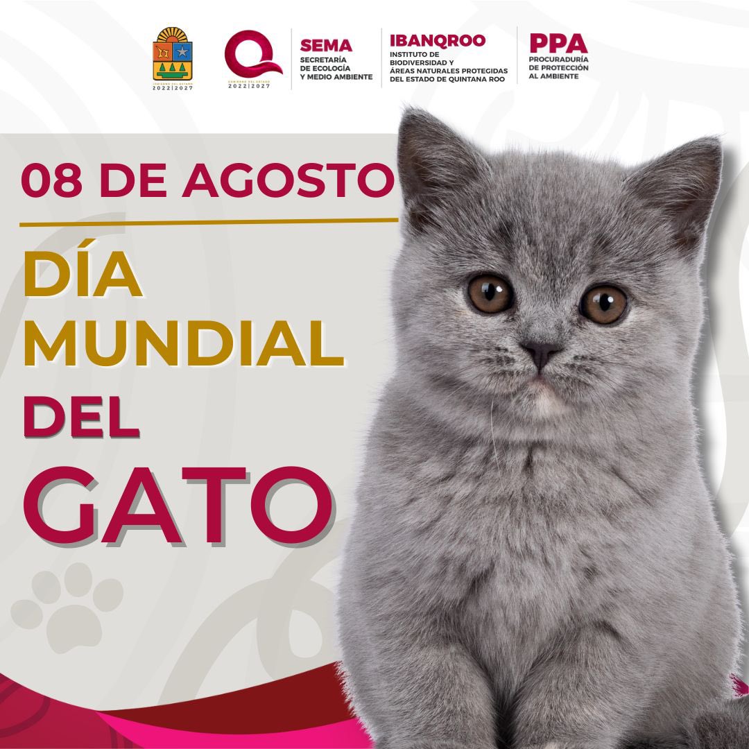 PPA Quintana Roo tweet media