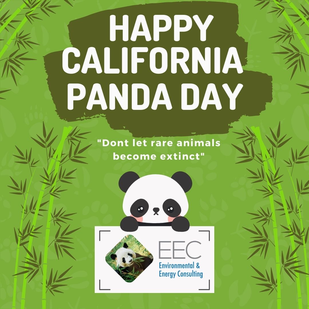 EEC_California's tweet photo. 🎉🐼 Happy California State Panda Day! Let's celebrate these adorable ambassadors of wildlife conservation and raise awareness for their protection. Let's ensure a bright future for pandas and all endangered species. #CaliforniaStatePandaDay #SaveThePandas #WildlifeConservation https://t.co/OS8442H3fm