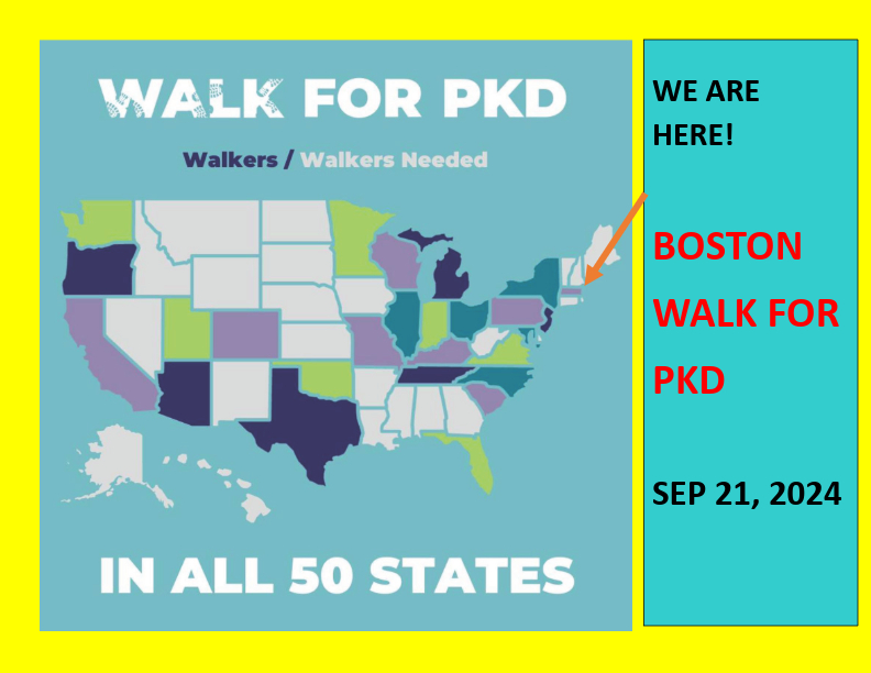 NewEnglandPkd's tweet photo. Join the Boston Walk for PKD along with 25 other states! From coast to coast, we’re raising funds for PKD research. Register now at https://t.co/UaE5OR4fxu.
Let's make a difference together on September 21, 2024!
#PKD #endPKD #kidneydiseas #PKDConnect #bostonwalkforPKD #bostonweekends #bostonfamily