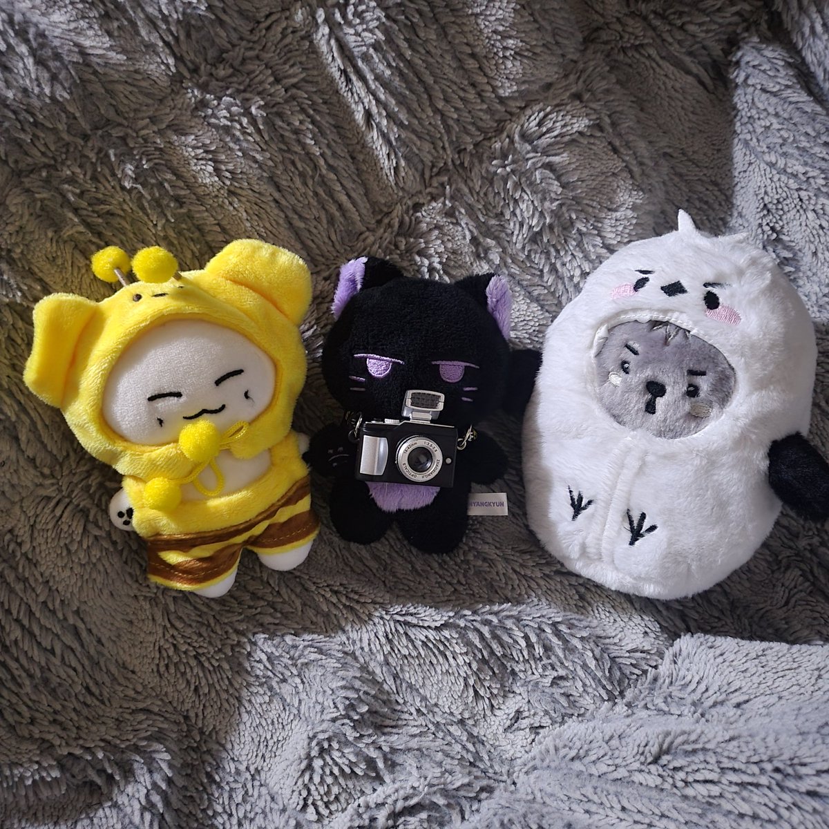 chaepurple_cat's tweet photo. 이미 진즉에 부리부리한 배통이 옷은 저멀리 서랍 깊숙히 숨겨놨지만 민숭맹숭한 배통이보단.. 😏
꼬까옷 생긴 손뱁통... 너 좀 귀엽다?
동생들이 니 옷 탐낸다...😎 https://t.co/2N5YRFq0ew