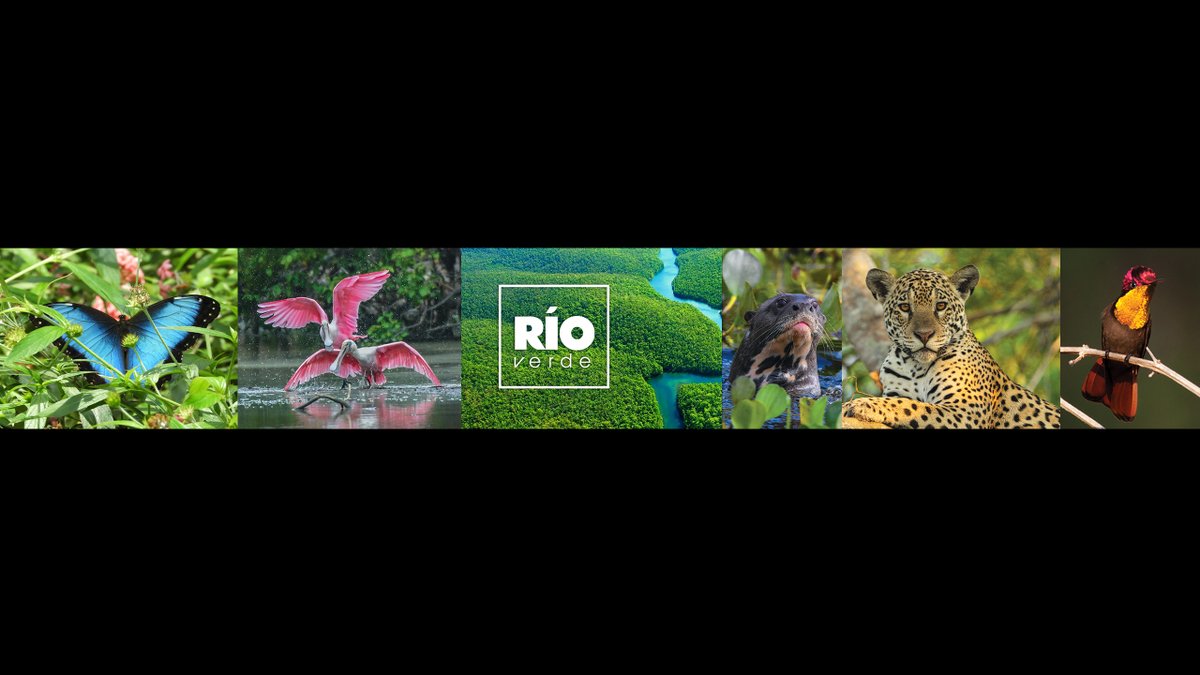 Río Verde youtube.com/@rioverde?si=S… a través de <a href="/YouTube/">YouTube</a>