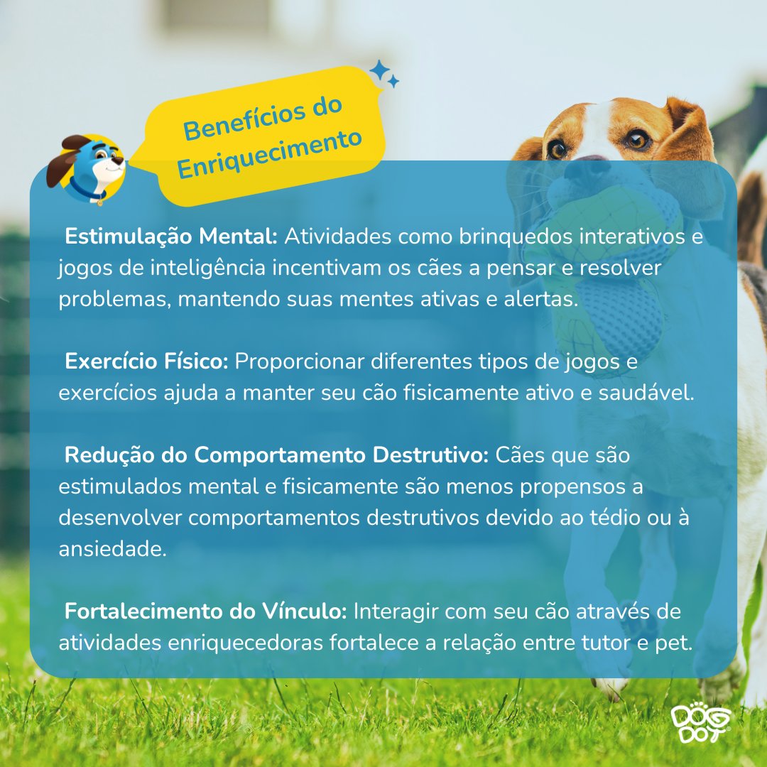 DogDot_app's tweet photo. Você sabia que enriquecer o ambiente do seu cão pode melhorar significativamente a qualidade de vida dele? Confira os benefícios e proporcione uma vida mais feliz e saudável para o seu amigo de quatro patas! 🐶💕 #dicasparacachorros #dogdotapp #cachorro #adestramento #treinamento https://t.co/TqreoTUo67
