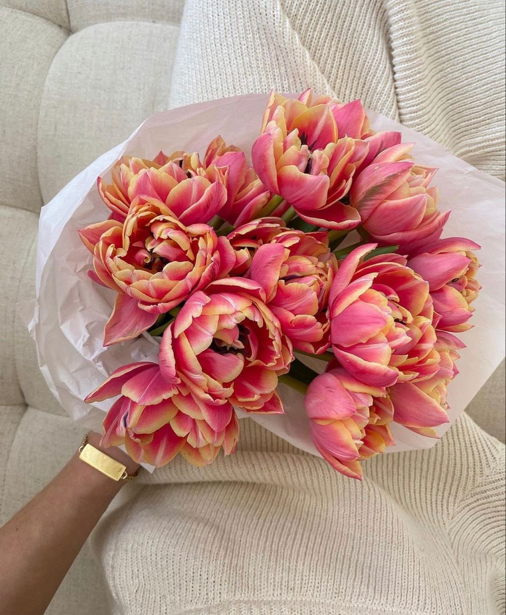 eliesaaabs's tweet photo. https://t.co/C29JjCvXVt