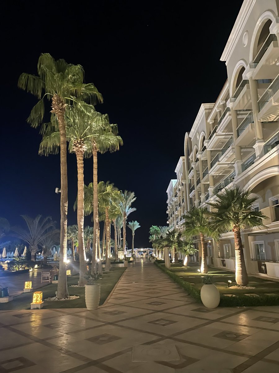 KateLine6's tweet image. Enjoying some quality family time and much needed sunshine 🇪🇬🤿☀️🏖️ @LoisGrace19