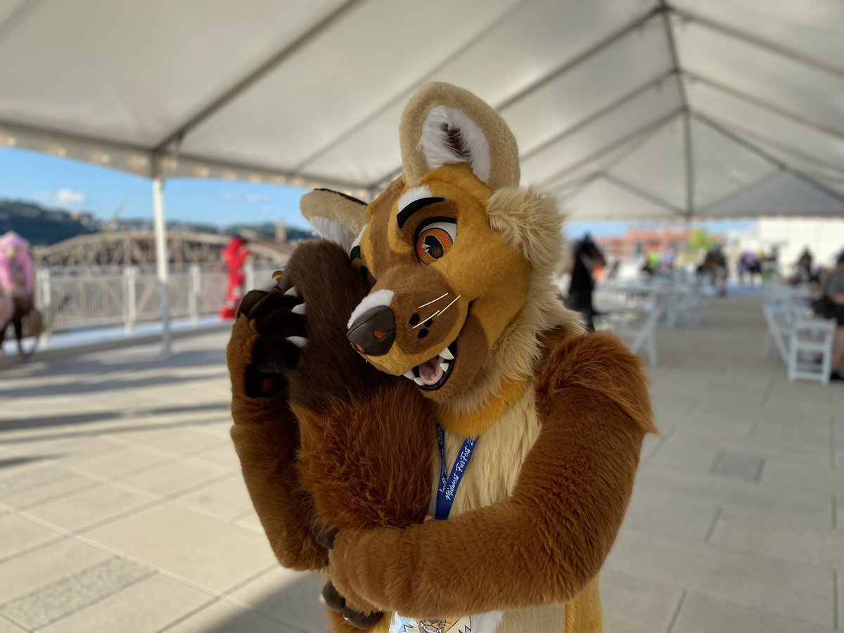 Martens have long tails for a reason. They’re so cuddly!