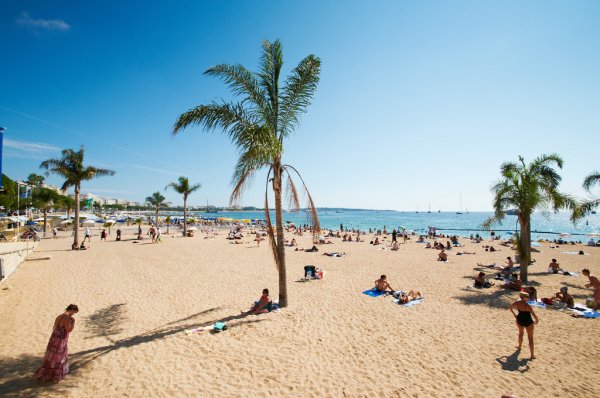 bizflats's tweet image. A Complete Guide to Barcelona Beaches: Discover the Hidden Gems 😍🐠🌴 cutt.ly/mecupffW
#Barcelonabeach #barcelonaguide