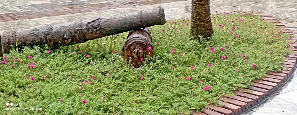 VictorV20545079's tweet photo. Tú👏🏽 sabés que mi 🏝️ #IslaDeLaJuventud aunque llueva🌧️es hermosa🤩.
Dame❤️ y retwittear si amas a tú territorio #Pinero y sumate al reto de mostrar tú ciudad en cualquier tiempo y condición.
#SentirPinero @IzquierdaPinera @_SentirPinero https://t.co/KHCPQgJKWs