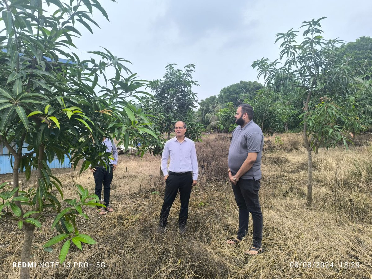 Today Hon'ble MD-GAICL , Shri D. H. Shah (IAS) along with Officials visited a facility of Gujarat Agro Industries Corporation at Jhagadia, Bharuch operated by ABNN Fresh Expo

<a href="/gaiclofficial/">Gujarat Agro Industries Corporation Limited</a> 
<a href="/followers/">はうはう</a>
#indexta