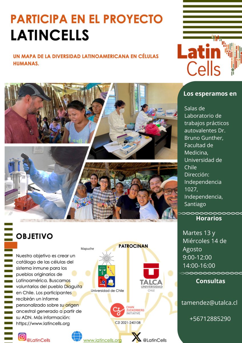 Tamara Méndez tweet media